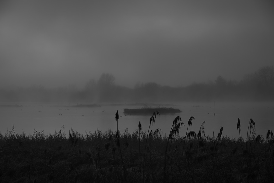 Nebel am Wasser
